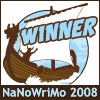 nano winner2008